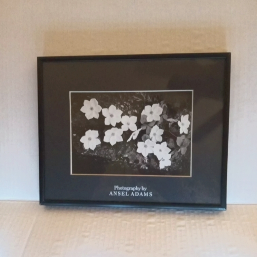 Vintage Ansel Adams Framed & Matted Quality Floral Nature Lithograph Print